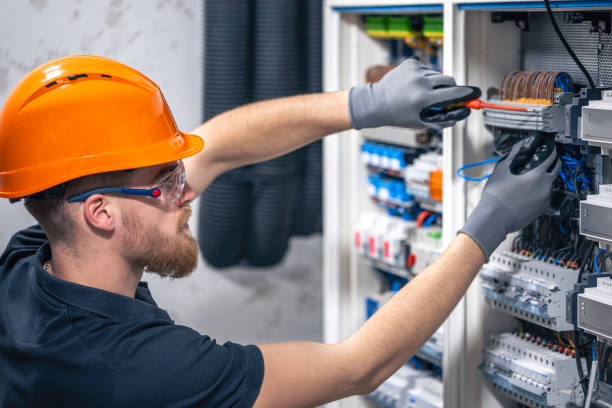 Best Electric Panel Repair  in Pequot Lakes, MN